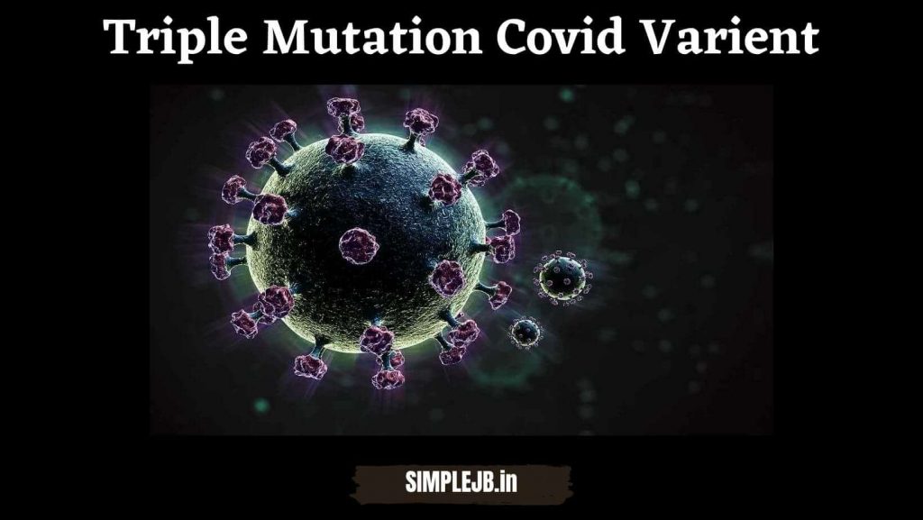 Triple Mutation Covid Varient