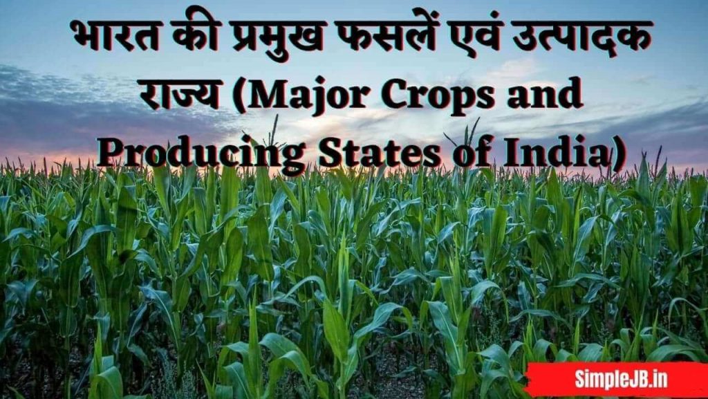 भारत की प्रमुख फसलें एवं उत्पादक राज्य (Major Crops and Producing States of India)