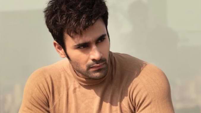 Pearl V Puri Biography, Age, Height, Girlfriends, Net worth & News in Hindi