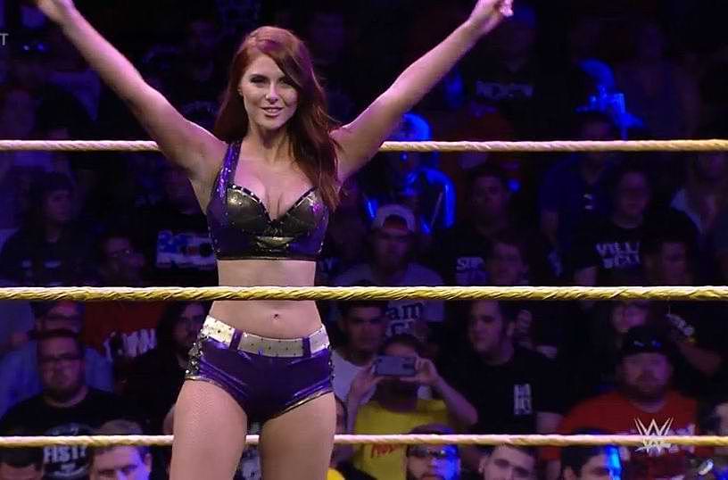 Brandi Lauren Wrestler Biography, Wikipedia, Age