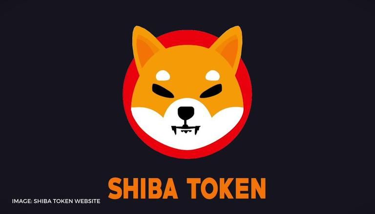 What is Shiba Inu Coin? | Shiba Inu Coin Price in India | How to Buy Shiba Inu Coin in India 2021