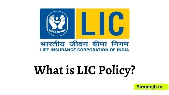 What is LIC Policy?